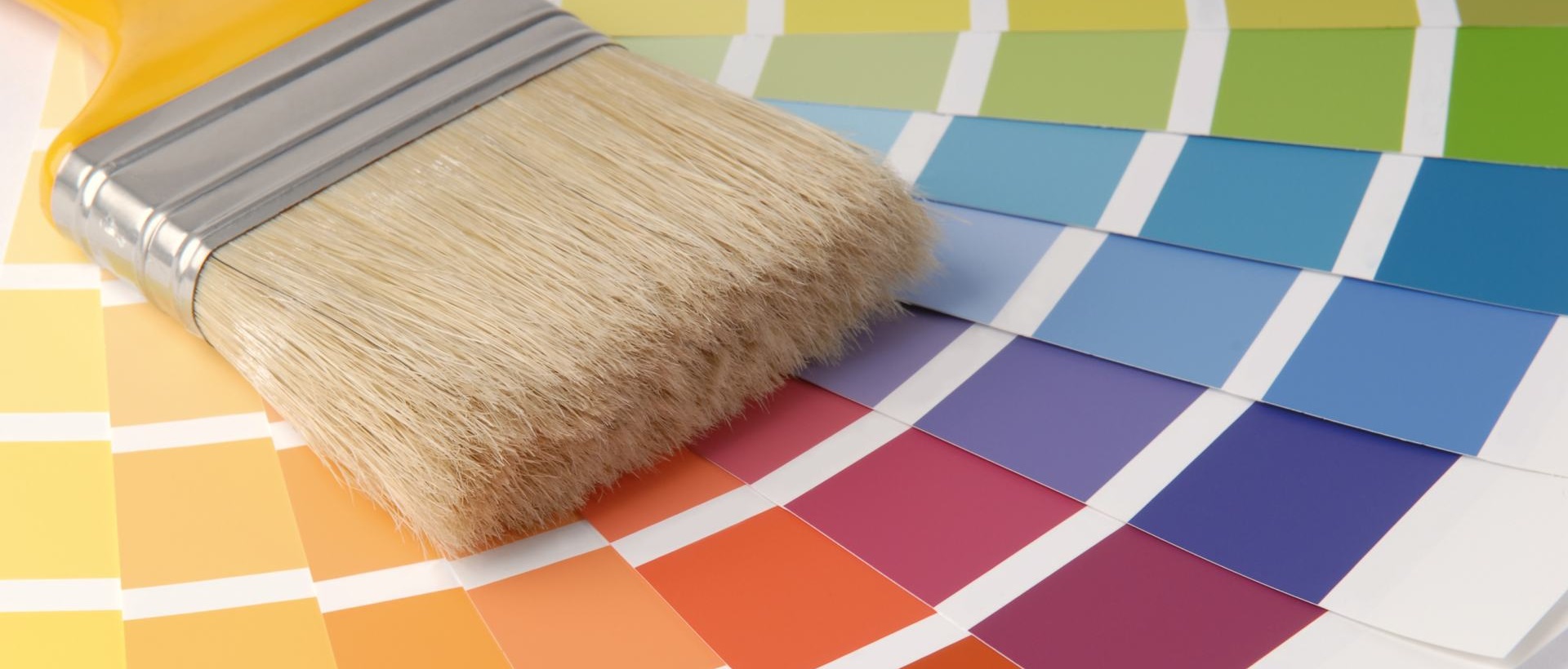 Painter N10